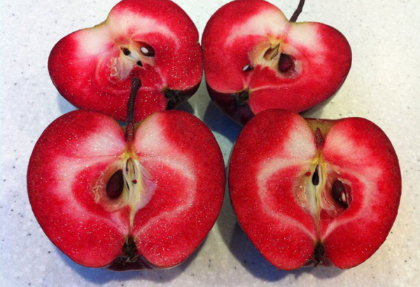 Розовые яблоки — сорта яблок с розовой и красной мякотью